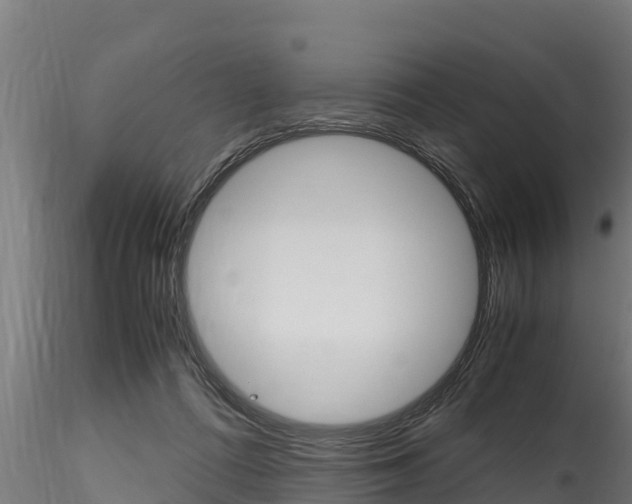 X0000116270312200911301023