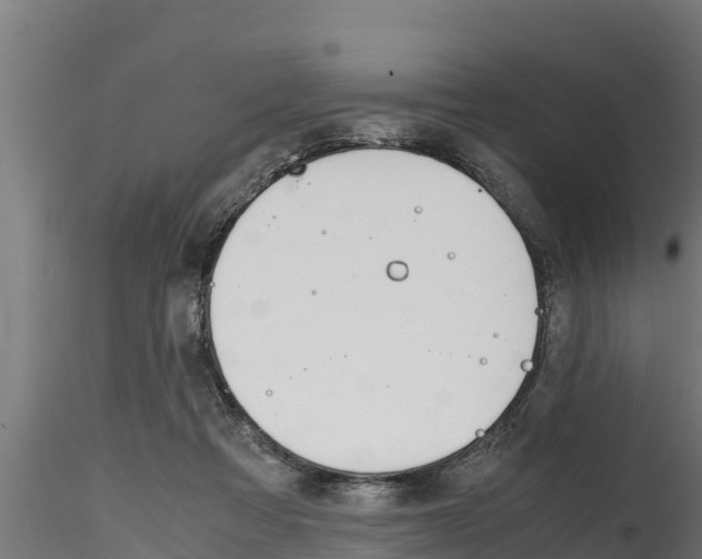 X0000116270313200911301023