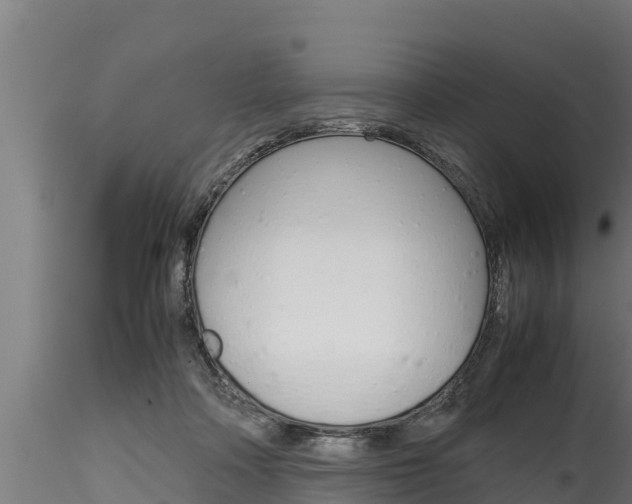 X0000116270314200911301023