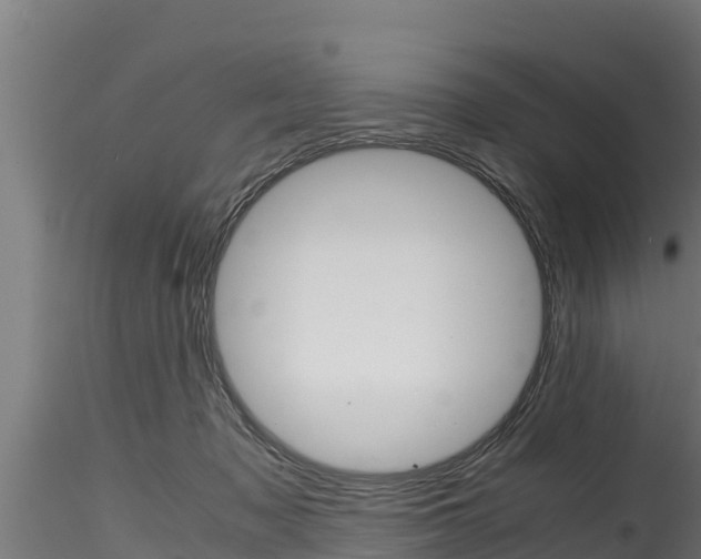 X0000116270317200911301023