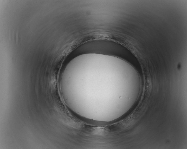 X0000116270320200911301023