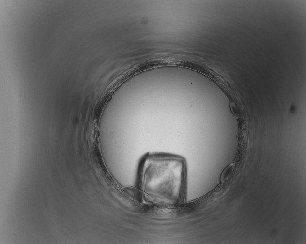 X0000116270325200911301022