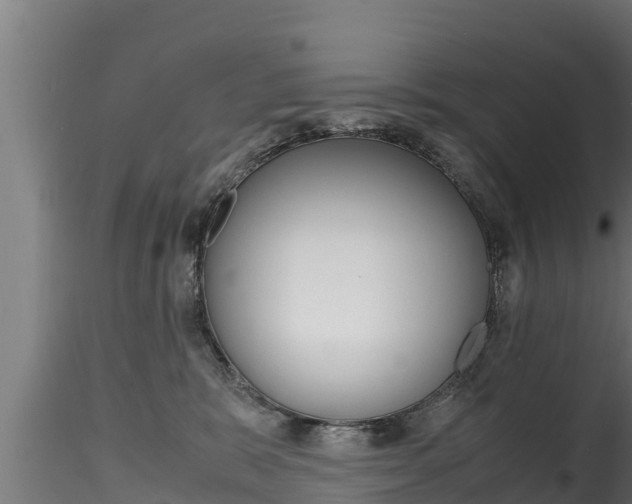 X0000116270327200911301022