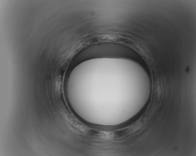 X0000116270328200911301022