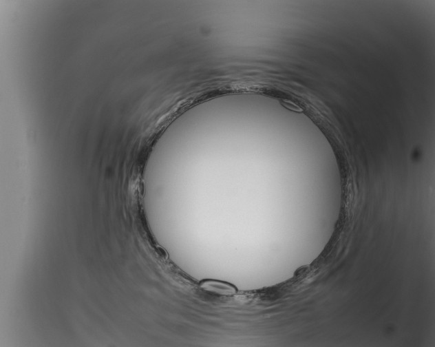 X0000116270329200911301022