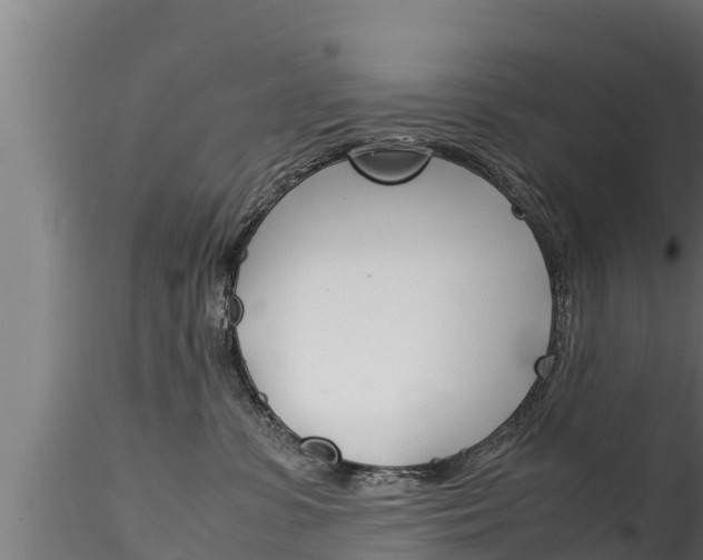 X0000116270331200911301022