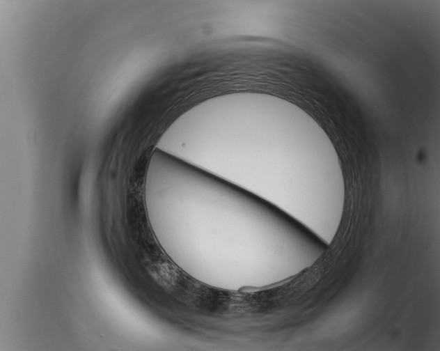 X0000116270335200911301022
