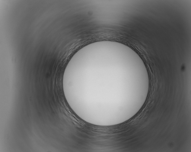 X0000116270336200911301022