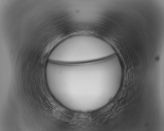 X0000116270337200911301022