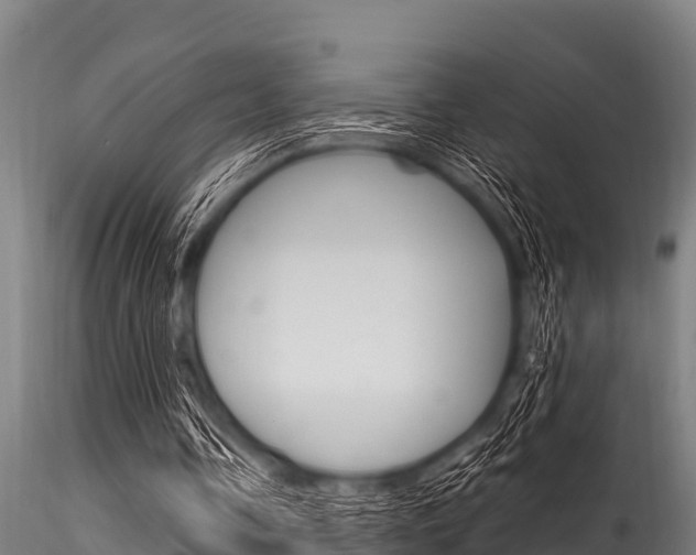 X0000116270338200911301022