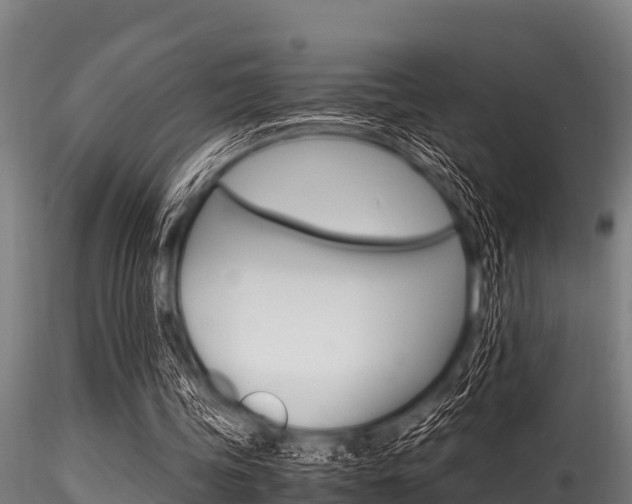X0000116270339200911301022