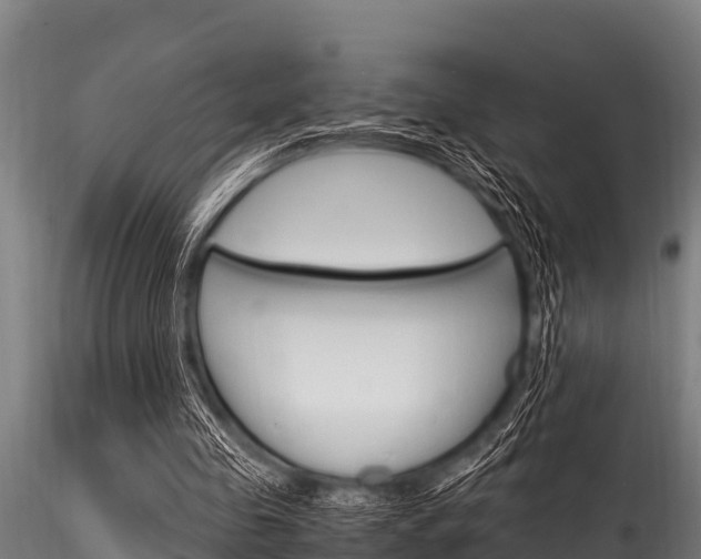 X0000116270341200911301022
