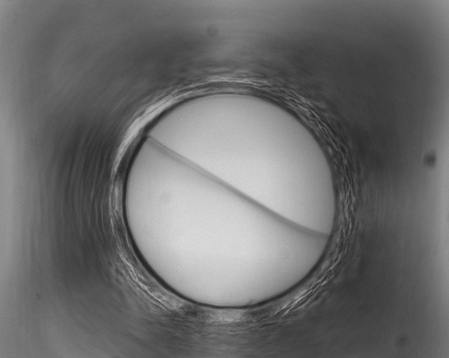 X0000116270342200911301022