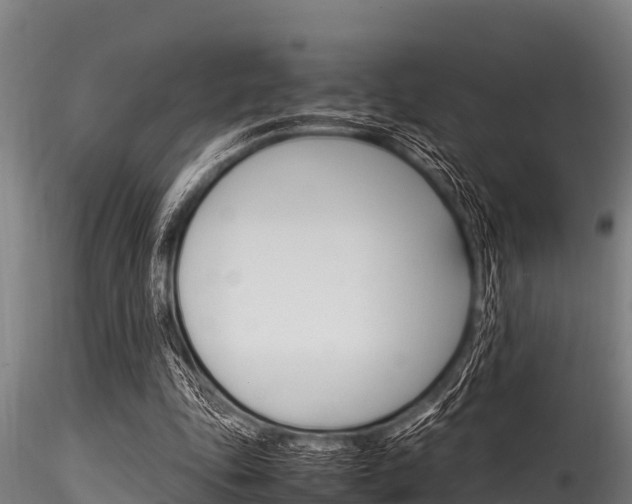 X0000116270343200911301022