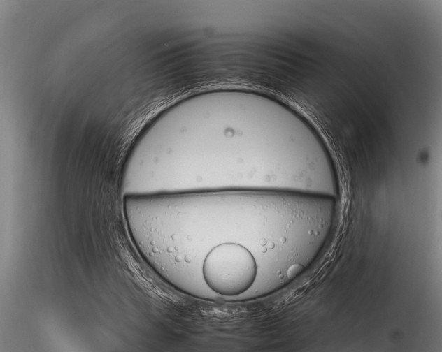 X0000116270345200911301022