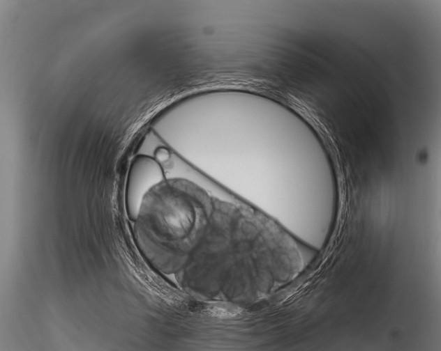 X0000116270346200911301022