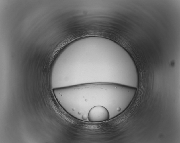 X0000116270349200911301022