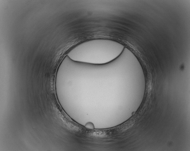 X0000116270353200911301022