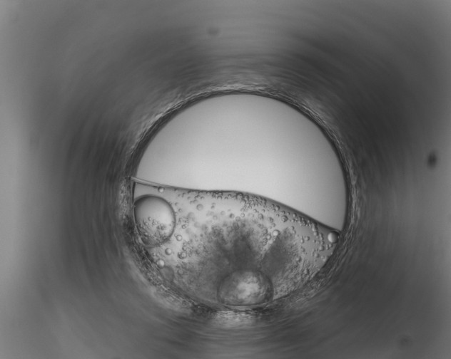 X0000116270354200911301022