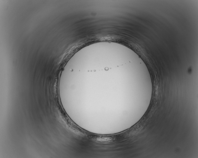 X0000116270357200911301022