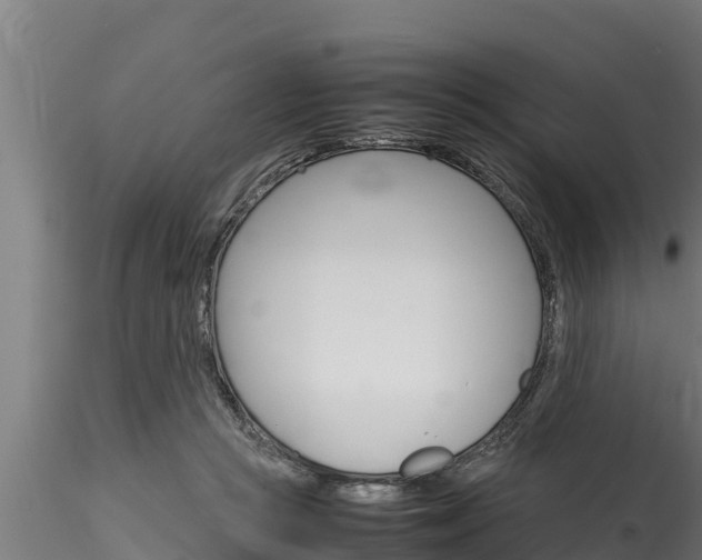 X0000116270361200911301022