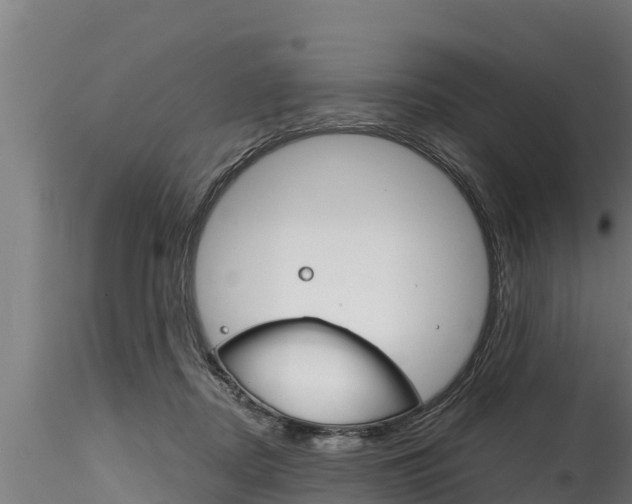 X0000116270362200911301022