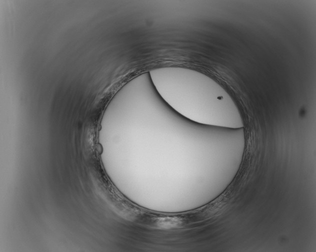 X0000116270363200911301022