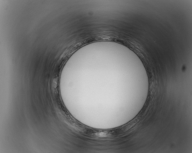 X0000116270365200911301022