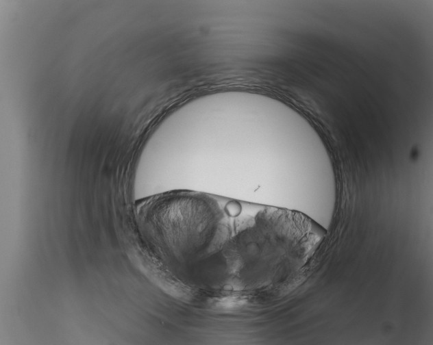 X0000116270366200911301022