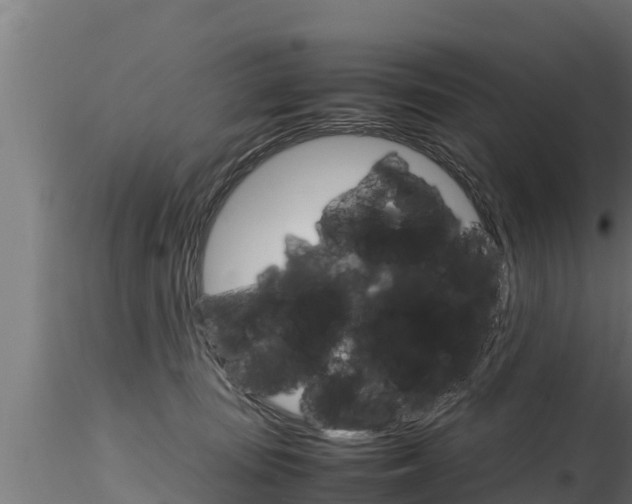 X0000116270371200911301022
