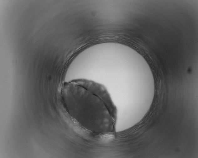 X0000116270374200911301022