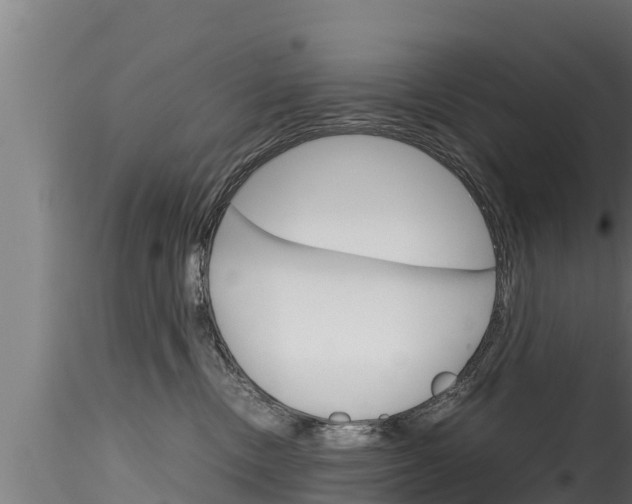 X0000116270378200911301022