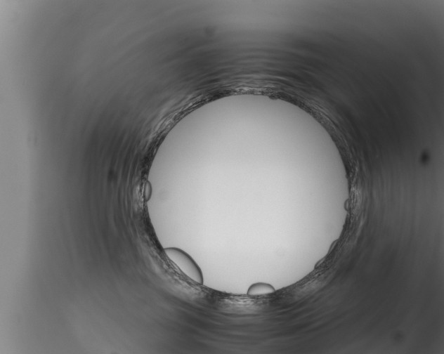 X0000116270381200911301022