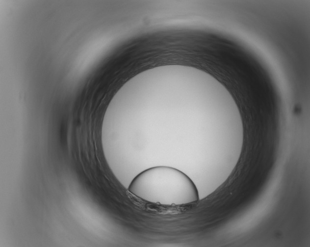 X0000116270382200911301022