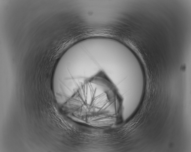 X0000116270385200911301022