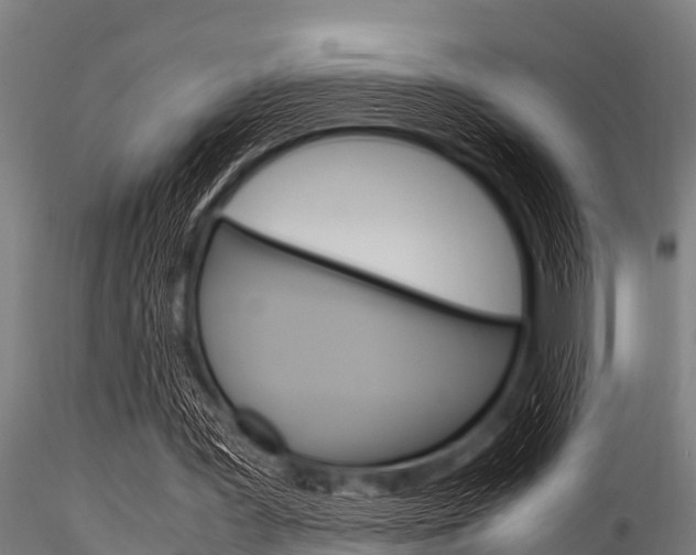X0000116270387200911301022