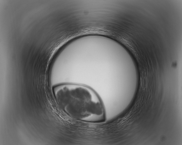 X0000116270388200911301022