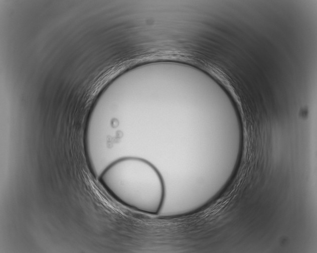 X0000116270389200911301022