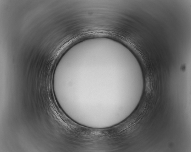 X0000116270390200911301022