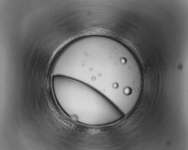 X0000116270392200911301022