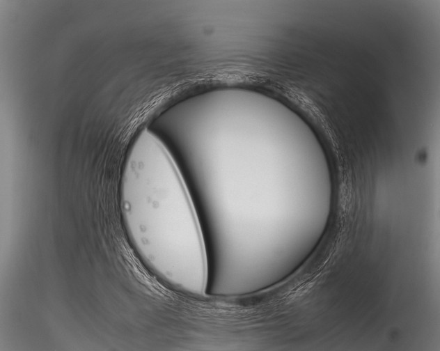X0000116270393200911301022