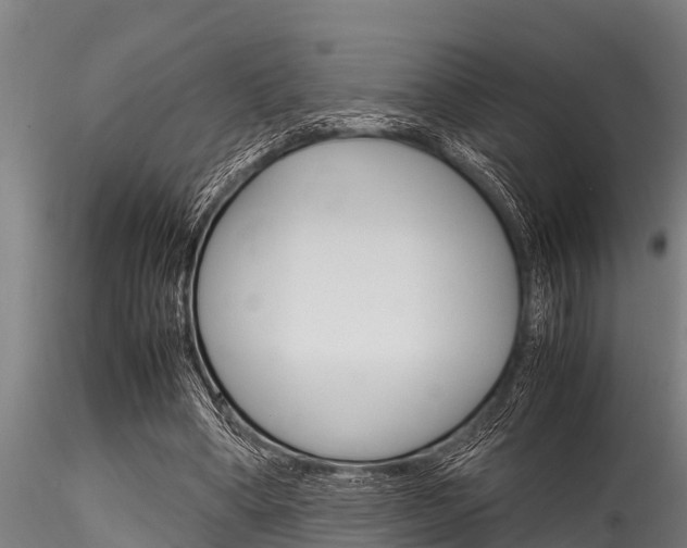 X0000116270394200911301022