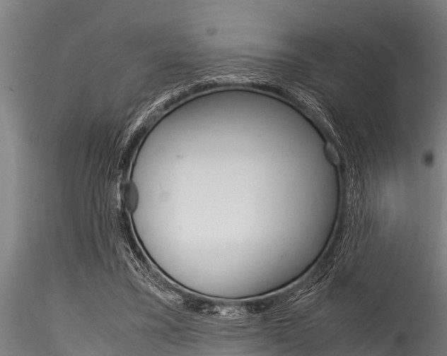 X0000116270395200911301022