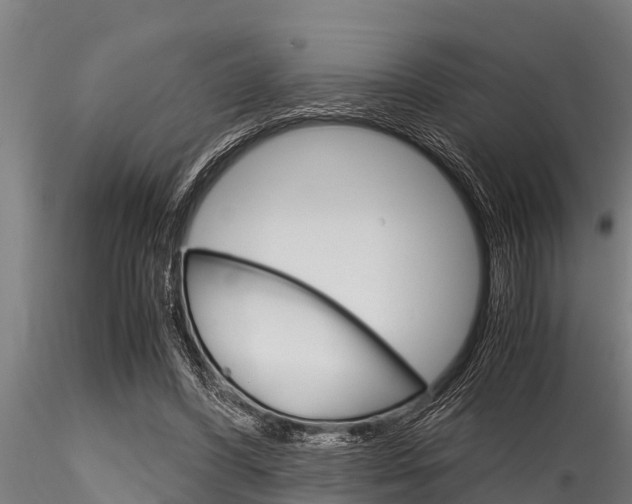X0000116270396200911301022