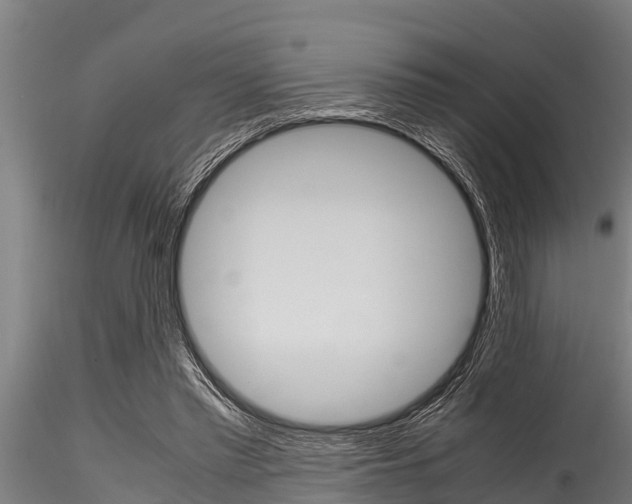 X0000116270397200911301021