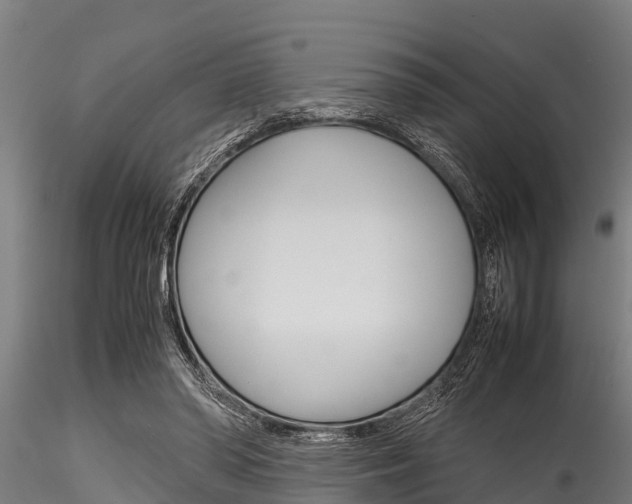 X0000116270398200911301021