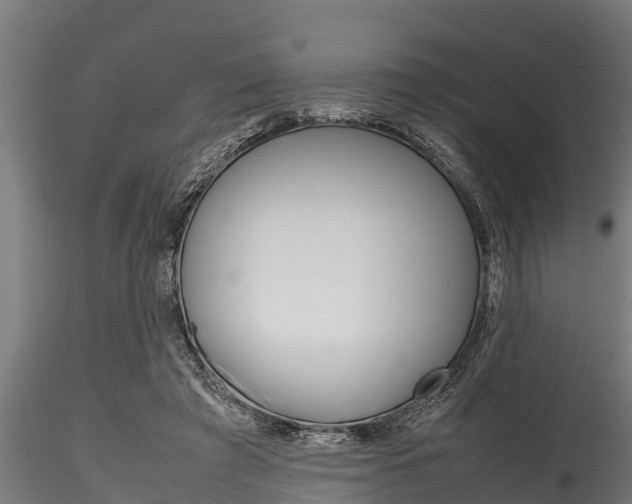 X0000116270401200911301021