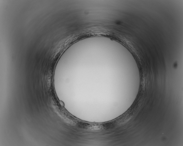 X0000116270402200911301021