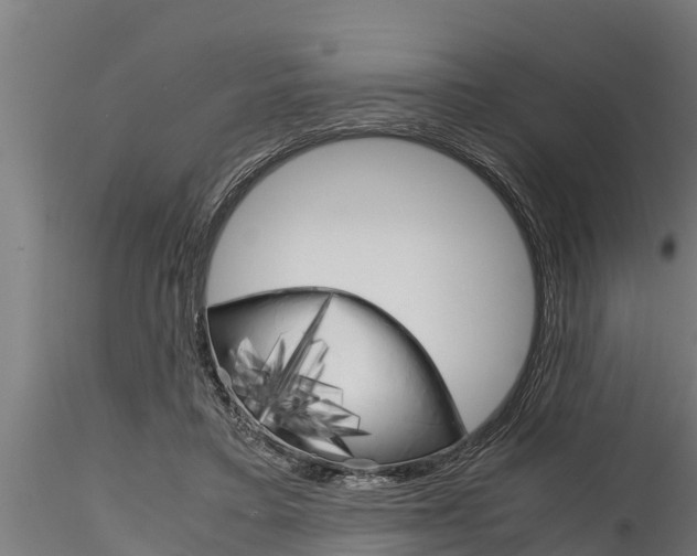 X0000116270403200911301021