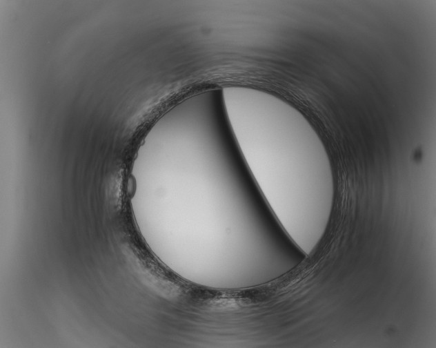 X0000116270404200911301021